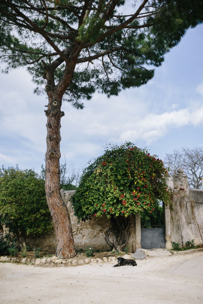 Cantine Pupillo